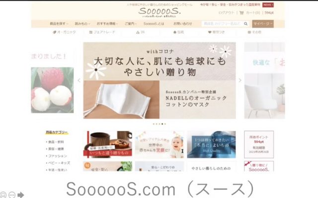 withコロナ時代のSDGs パラダイムシフトの本質とは セミナーイメージ3