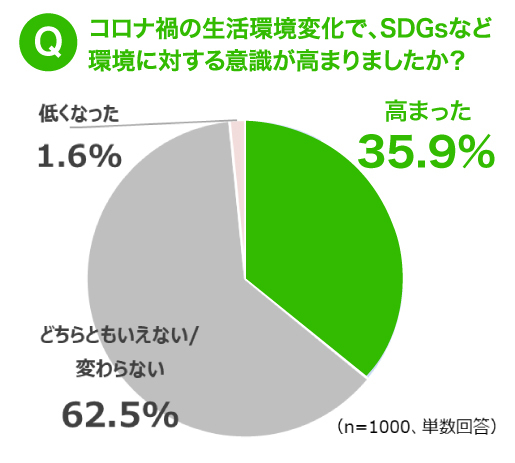 コラム image 『つくる責任』『つかう責任』＋『すてる責任』 SDGs調査02（リブランドならYRK&）