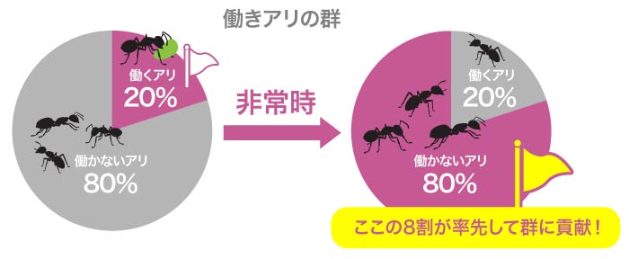 コンサルタントコラム_真のブランディングは「美点凝視」から！？image3（リブランドならYRK&）