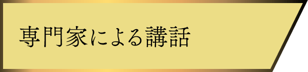 専門家による講話
