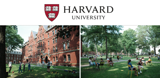 大西コラム_ハーバード大学が示した答え