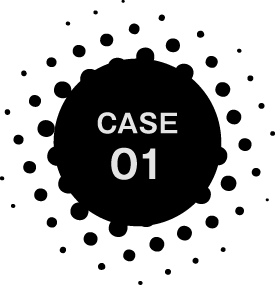 CASE 01