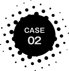 CASE 02