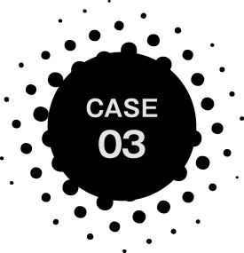 CASE 03
